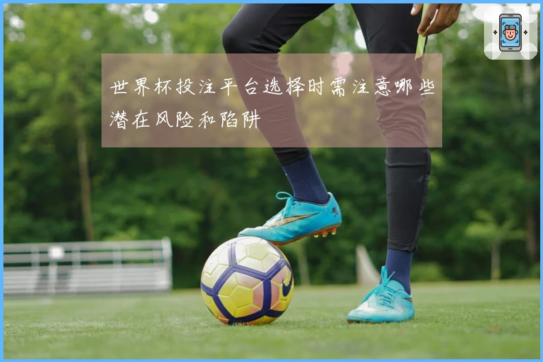世界杯投注平台选择时需注意哪些潜在风险和陷阱