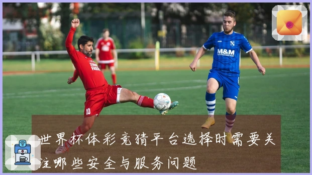 世界杯体彩竞猜平台选择时需要关注哪些安全与服务问题