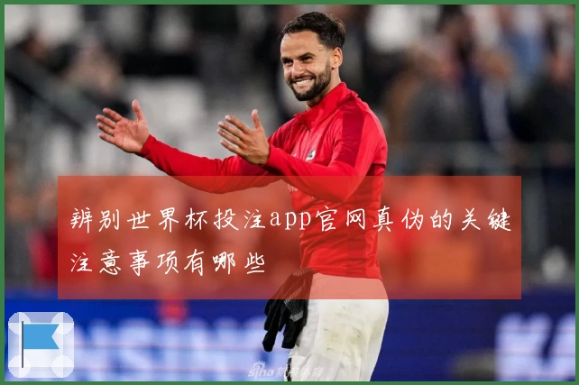辨别世界杯投注app官网真伪的关键注意事项有哪些