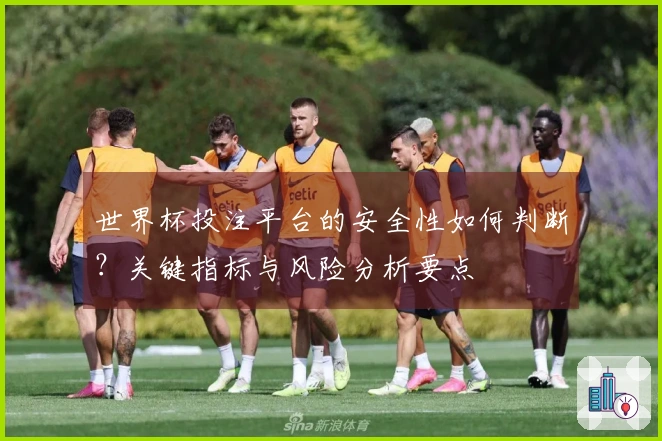 世界杯投注平台的安全性如何判断？关键指标与风险分析要点