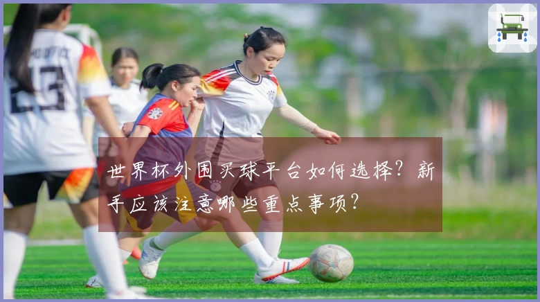世界杯外围买球平台如何选择？新手应该注意哪些重点事项？