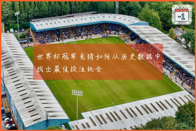 世界杯冠军竞猜如何从历史数据中找出最佳投注机会