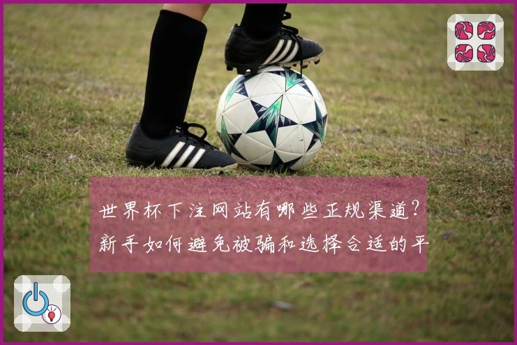 世界杯下注网站有哪些正规渠道？新手如何避免被骗和选择合适的平台