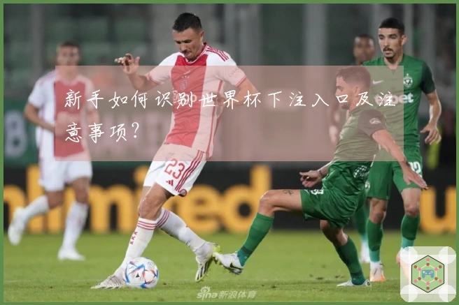 新手如何识别世界杯下注入口及注意事项？