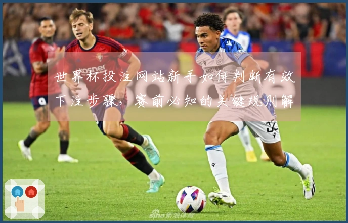 世界杯投注网站新手如何判断有效下注步骤，赛前必知的关键规则解析