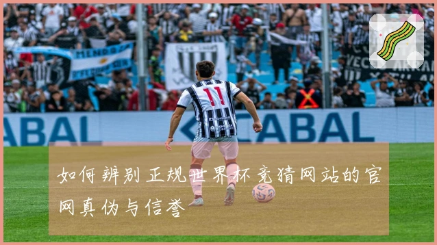 如何辨别正规世界杯竞猜网站的官网真伪与信誉