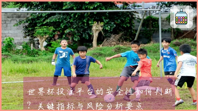 世界杯投注平台的安全性如何判断？关键指标与风险分析要点
