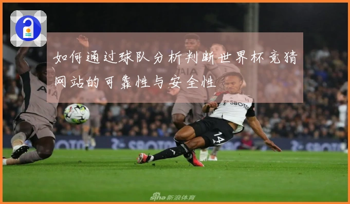 如何通过球队分析判断世界杯竞猜网站的可靠性与安全性