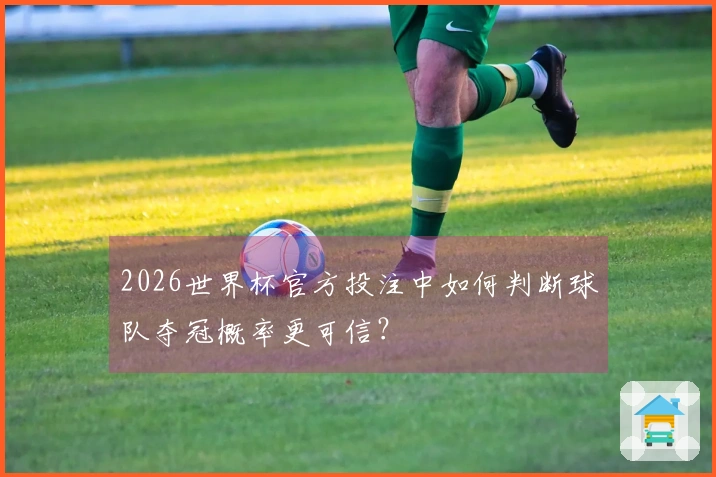 2026世界杯官方投注中如何判断球队夺冠概率更可信？