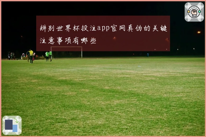 辨别世界杯投注app官网真伪的关键注意事项有哪些