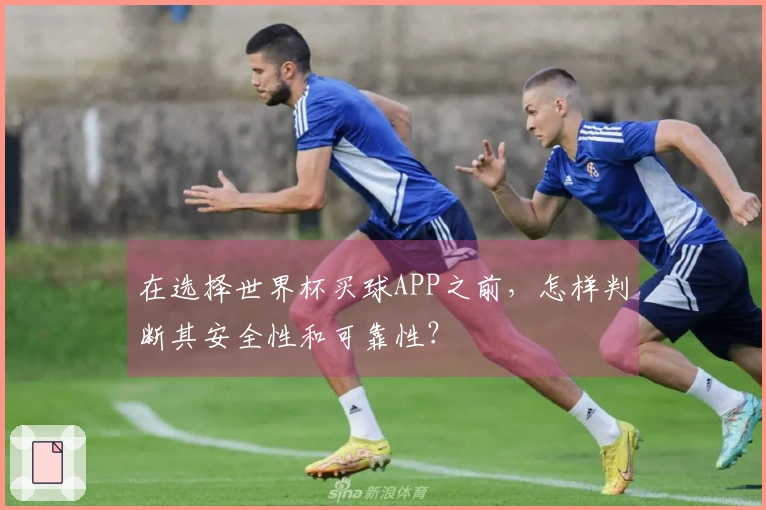 在选择世界杯买球APP之前，怎样判断其安全性和可靠性？