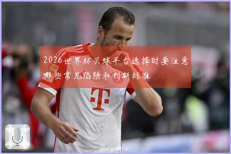 2026世界杯买球平台选择时要注意哪些常见陷阱和判断标准