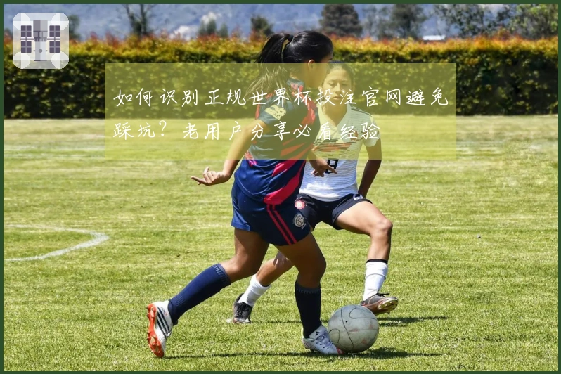 如何识别正规世界杯投注官网避免踩坑？老用户分享必看经验