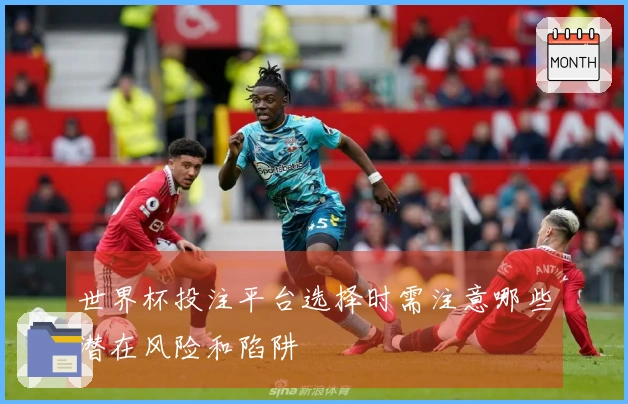世界杯投注平台选择时需注意哪些潜在风险和陷阱