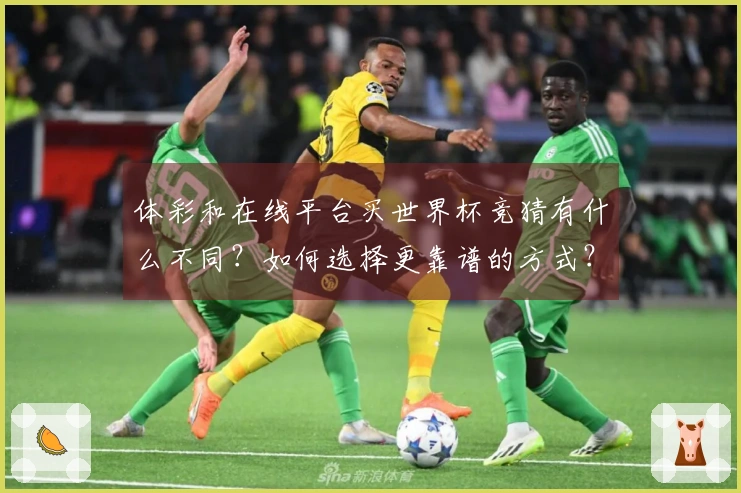 体彩和在线平台买世界杯竞猜有什么不同？如何选择更靠谱的方式？