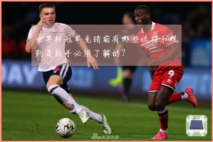 世界杯冠军竞猜前有哪些流程和规则是新手必须了解的？