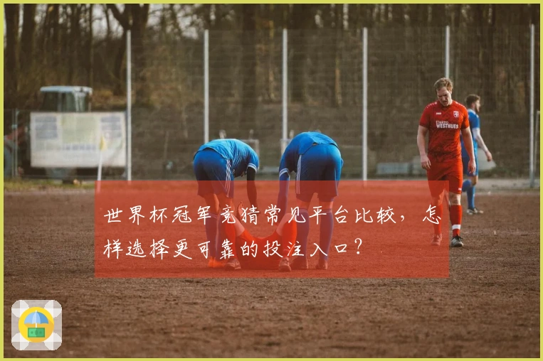世界杯冠军竞猜常见平台比较，怎样选择更可靠的投注入口？