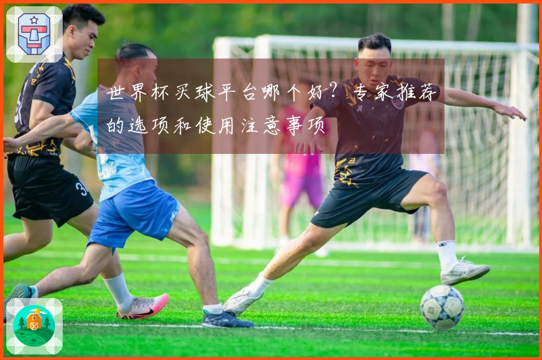 世界杯买球平台哪个好？专家推荐的选项和使用注意事项