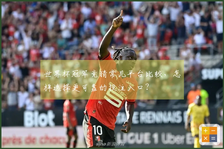 世界杯冠军竞猜常见平台比较，怎样选择更可靠的投注入口？
