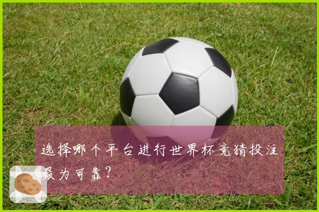 选择哪个平台进行世界杯竞猜投注最为可靠？