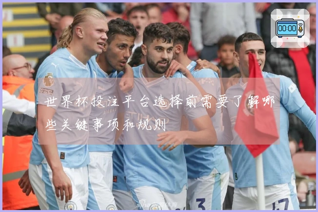 世界杯投注平台选择前需要了解哪些关键事项和规则