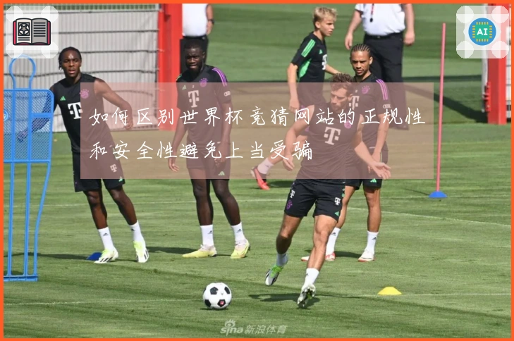 如何区别世界杯竞猜网站的正规性和安全性避免上当受骗