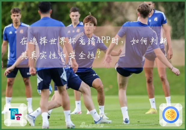 在选择世界杯竞猜APP时，如何判断其真实性和安全性？