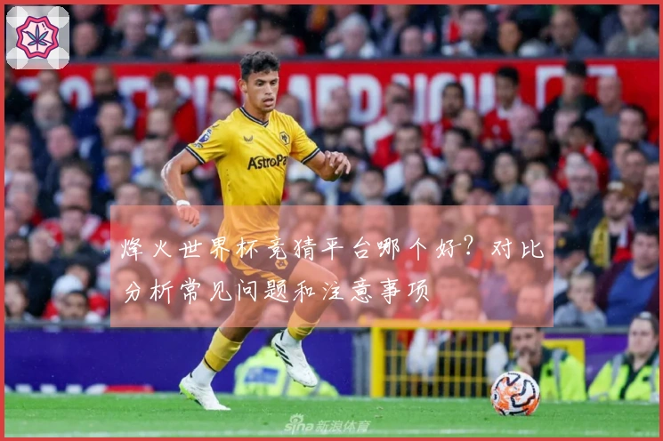 烽火世界杯竞猜平台哪个好？对比分析常见问题和注意事项